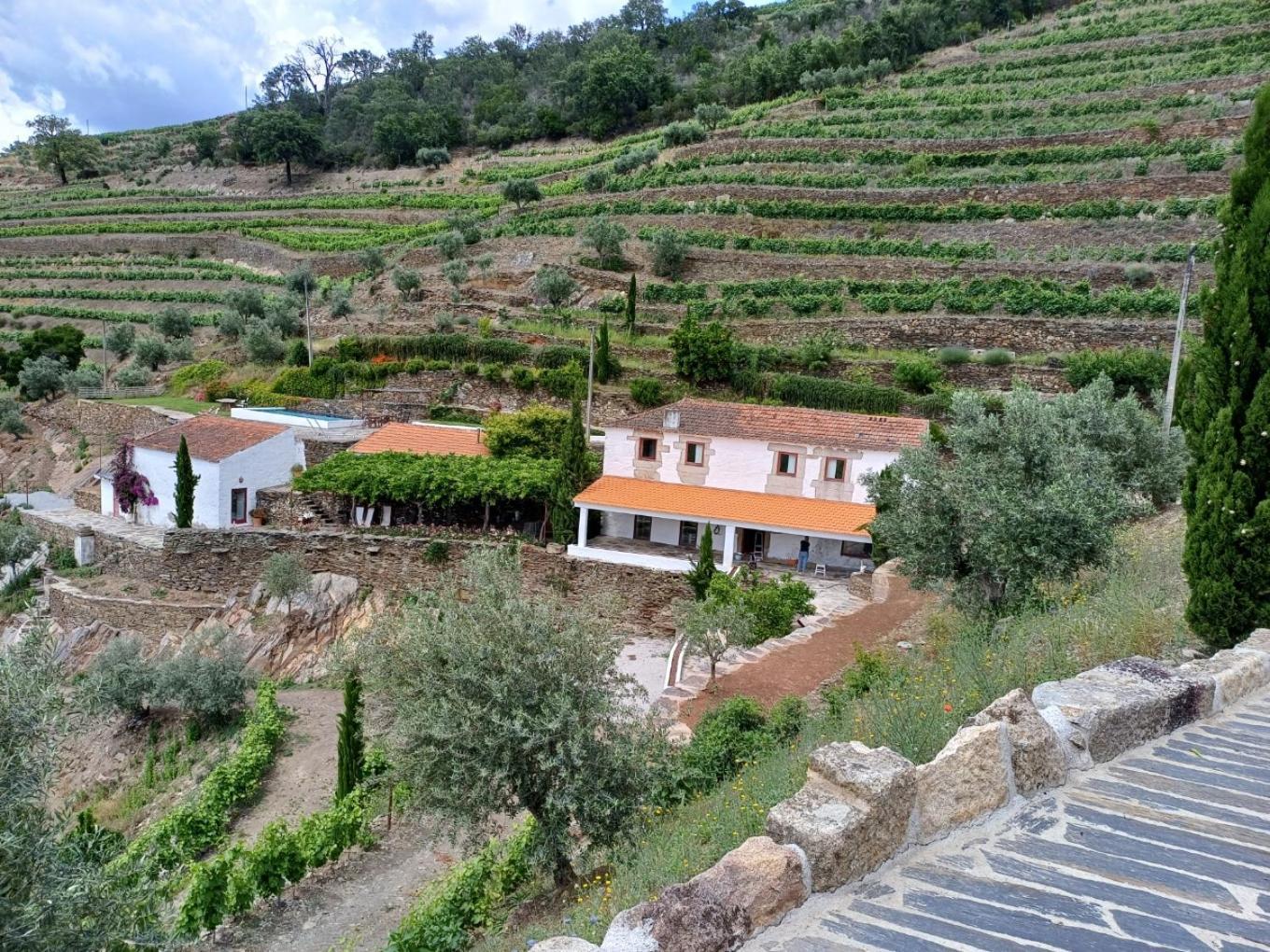 Alijó Country House Quinta Da Salgueira מראה חיצוני תמונה