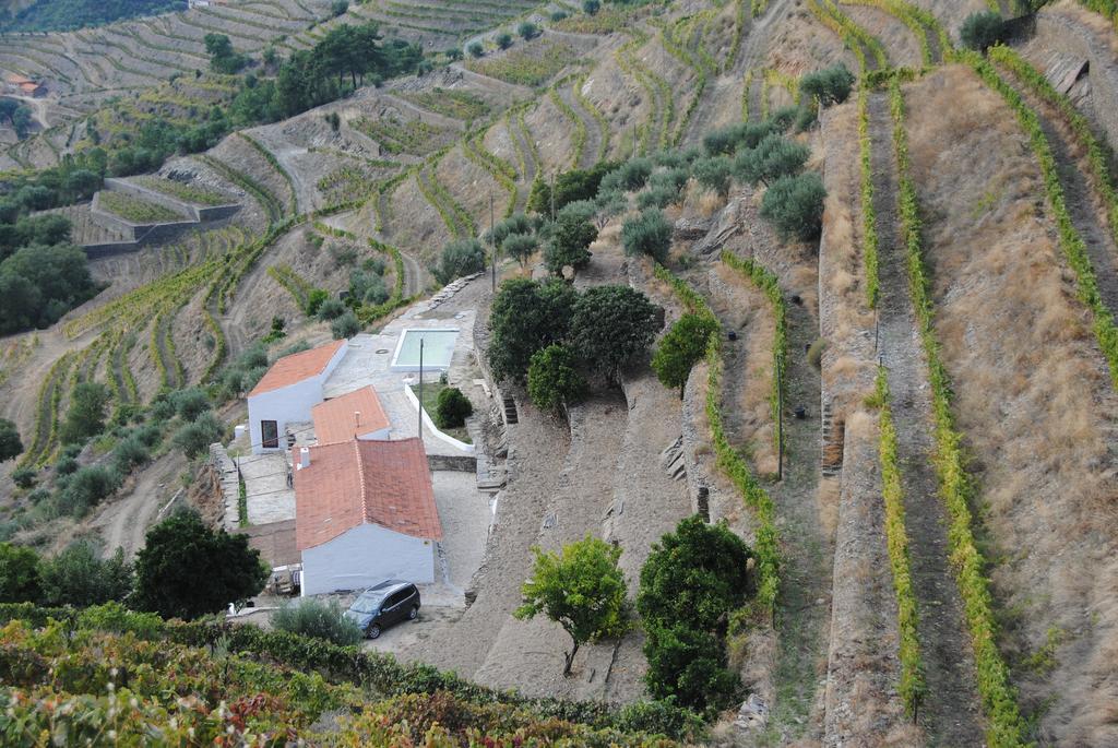 Alijó Country House Quinta Da Salgueira מראה חיצוני תמונה