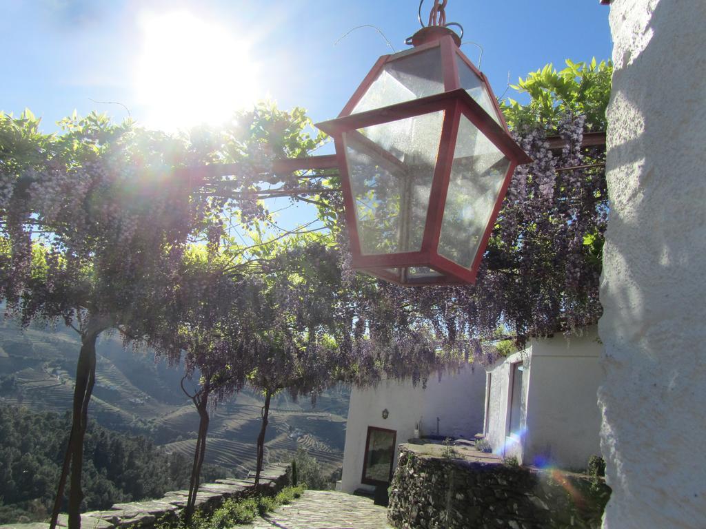 Alijó Country House Quinta Da Salgueira מראה חיצוני תמונה